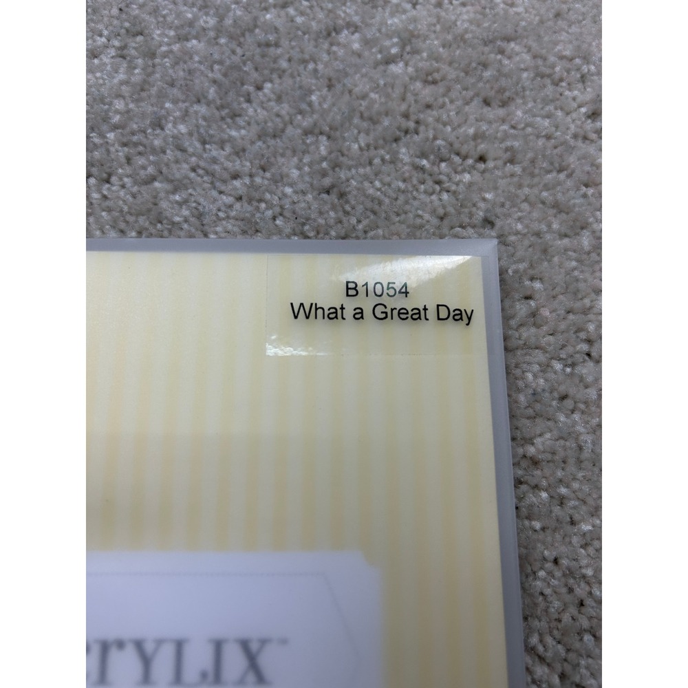 Close To My Heart What A Great Day B1054 My Acrylix Clear Stamps Scrapbooking